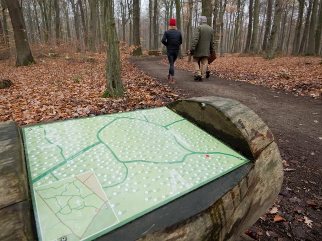 Eine Infotafel informiert im RuheForst Deister über die Grabstätten. In dem Waldgebiet können Menschen nach ihrem Tod bestattet werden. Die Asche des Verstorbenen wird in einer biologisch abbaubaren Urne beigesetzt. Foto: Julian Stratenschulte