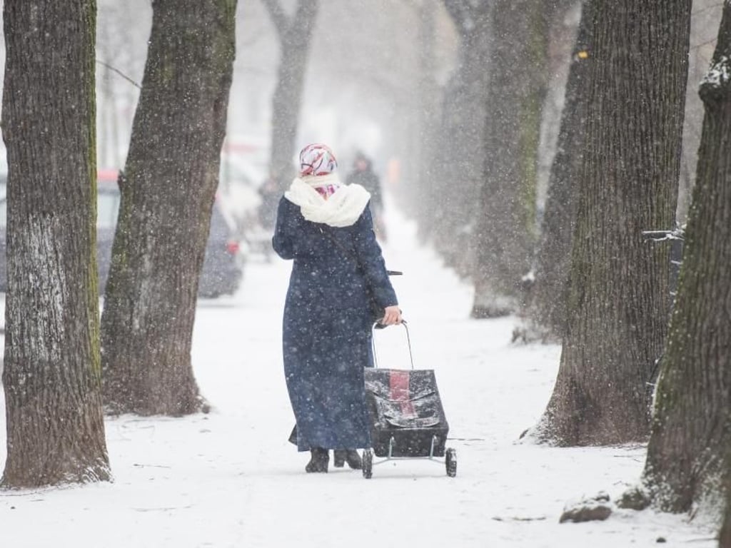 Wie im tiefsten Winter: Eine Frau geht mit einem Einkaufstrolley durch das Schneegestöber. Foto: Christophe Gateau