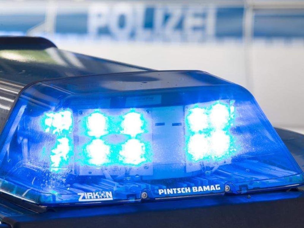 Blaulicht auf einem Polizeifahrzeug. Foto: Friso Gentsch/Archiv