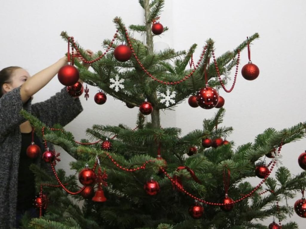 Wer mehrere Farben am Weihnachtsbaum unterbringen möchte, sollte auf ein ausgewogenes Verhältnis und eine gleichmäßige Verteilung am Baum achten. Die Eyecatcher kommen am Schluss. Foto: Ina Fassbender