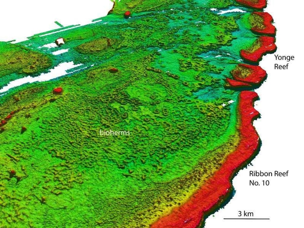 An der australischen Ostküste ist ein riesiges weiteres Riff entdeckt worden. Grafik: deepreef.org/dpa Foto:
