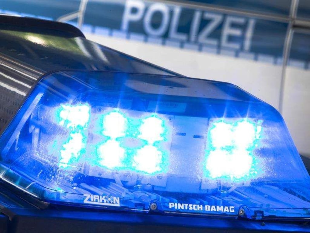 Ein Blaulicht leuchtet auf einem Polizeiauto. Foto: Friso Gentsch/Archiv