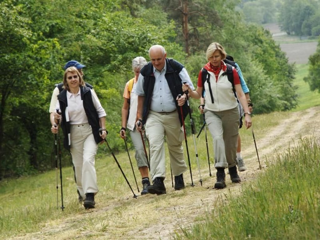 Wo einst Händler reisten, trifft man heute Wanderer - unterwegs auf dem deutsch-niederländischen Handelsweg. Foto: Euregio