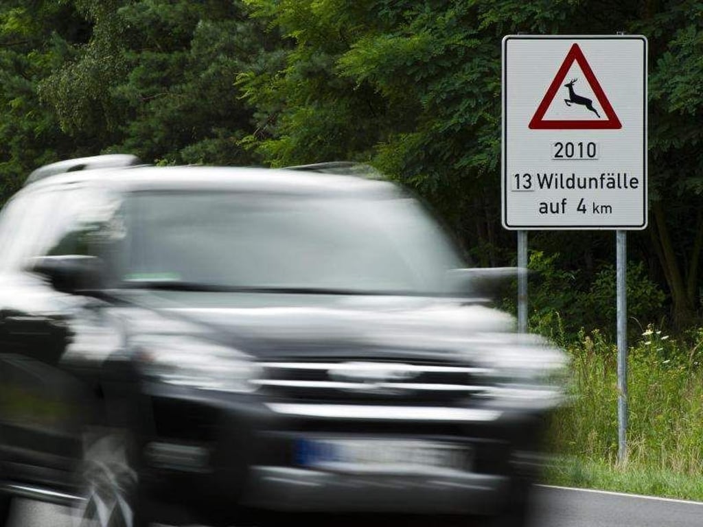 Ein Pkw fährt an einem Hinweisschild «2010 - 13 Wildunfälle auf 4 km» vorbei. Foto: Arno Burgi/Archiv