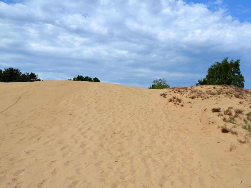 Ist das Sylt? Nein - die Altwarper Dünen mit ihrem weichen, hellen Sand sind ein Markenzeichen der Region am Stettiner Haff. Foto: Andreas Heimann