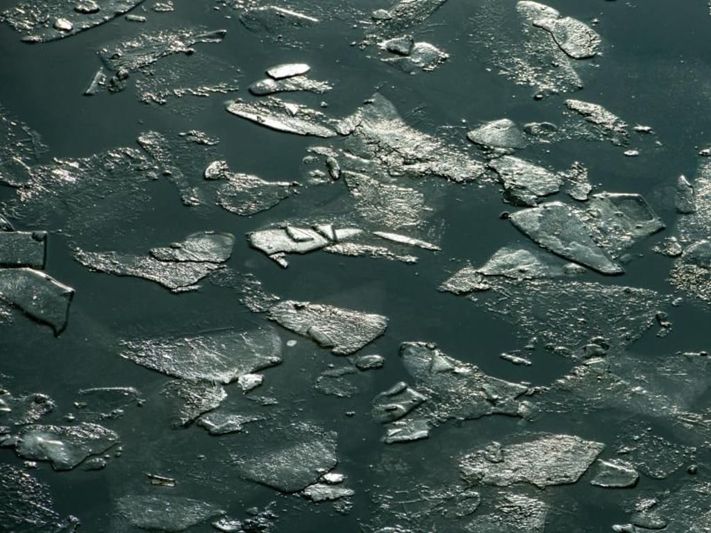 Eisschollen schwimmen bei Straubing auf der Donau. Foto: Armin Weigel