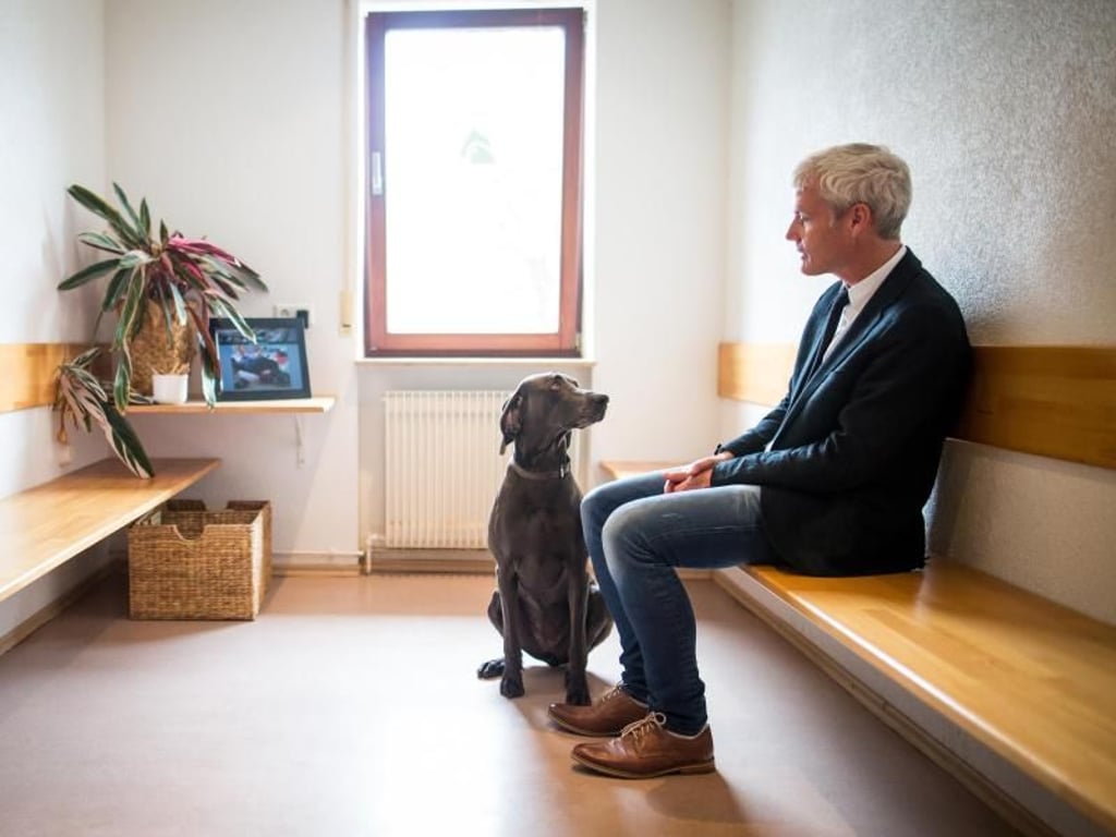 Besitzer sollten Ruhe ausstrahlen, das überträgt sich auf das Tier. Foto: Christoph Schmidt