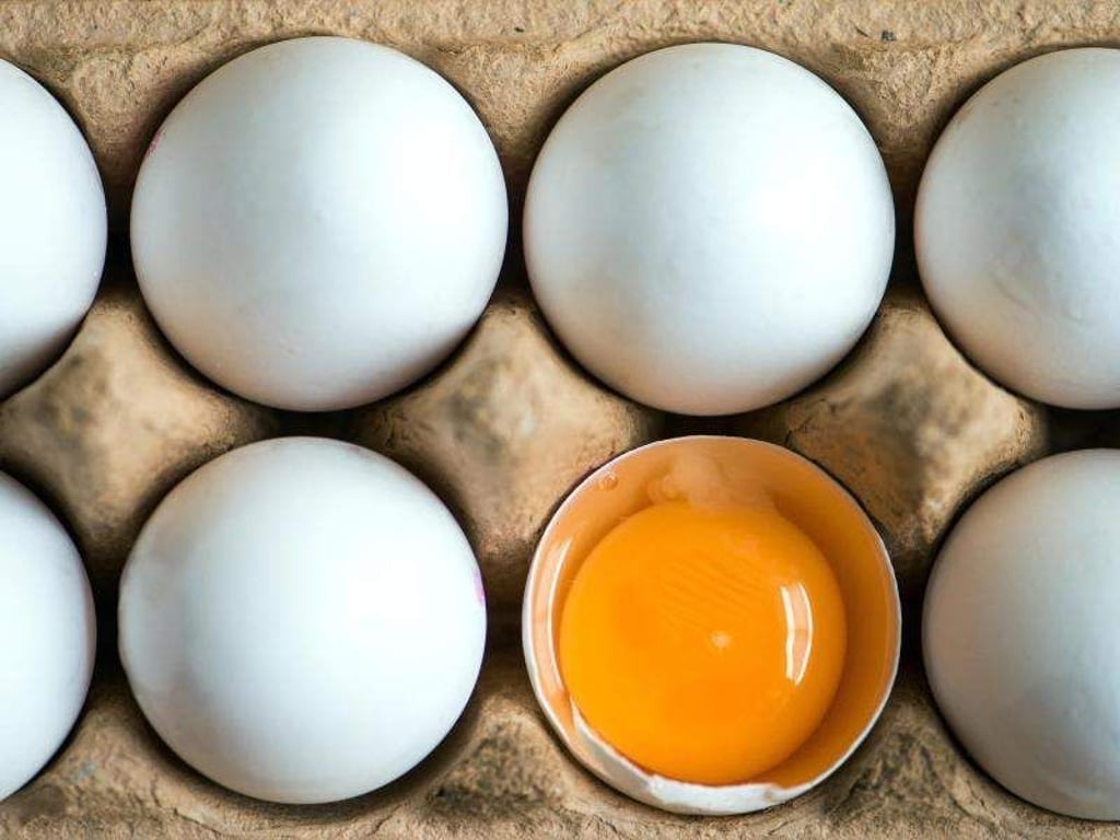 Mit Fipronil belastete Eier wurden nach ersten Nachweisen in den Niederlanden in immer mehr Ländern gefunden. Auch deutsche Betriebe waren betroffen. Foto: Armin Weigel