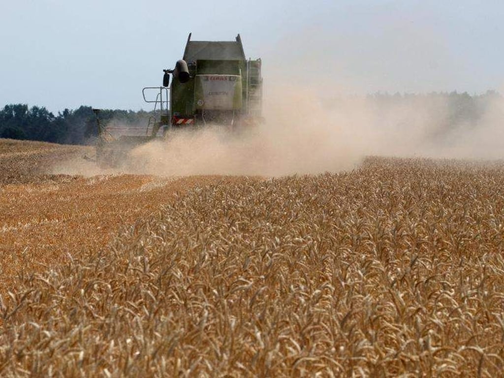 Ein Mähdrescher erntet auf einem 40 Hektar großem Feld Winterweizen. Foto: Peter Förster/Archiv