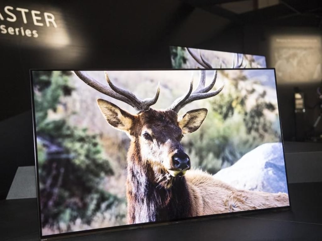 Mehr Farbraum, helleres Weiß und dunkleres Schwarz gibt es bei Sonys neuen Spitzenmodellen mit LCD- und OLED-Display, hier der AF9. Foto: Robert Günther