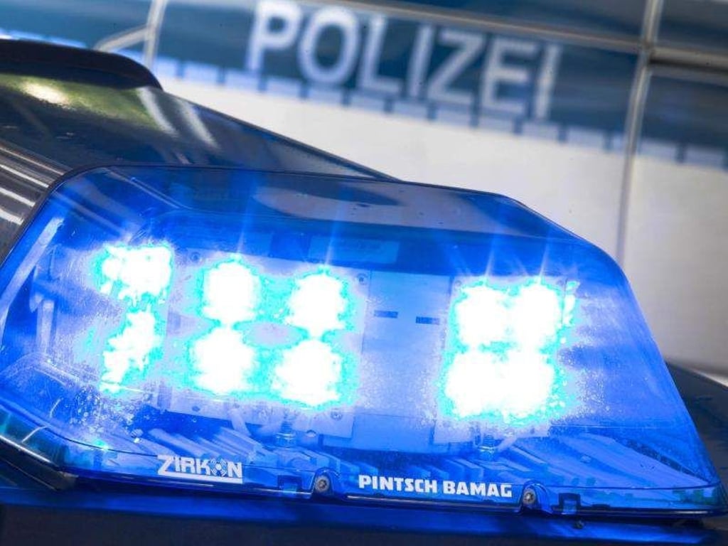Ein Blaulicht leuchtet auf dem Dach eines Polizeiwagens. Foto: Friso Gentsch/Archiv