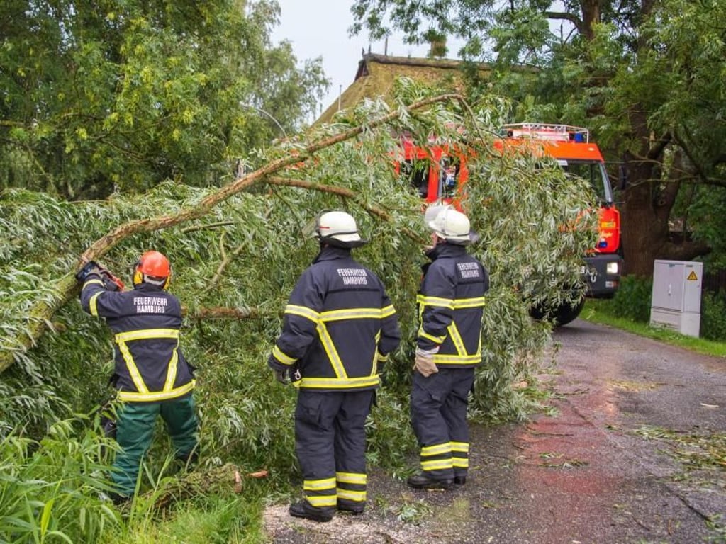 Feuerwehrleute zersägen in Hamburg-Ochsenwerder einen umgestürzten Baum. Foto: Daniel Bockwoldt