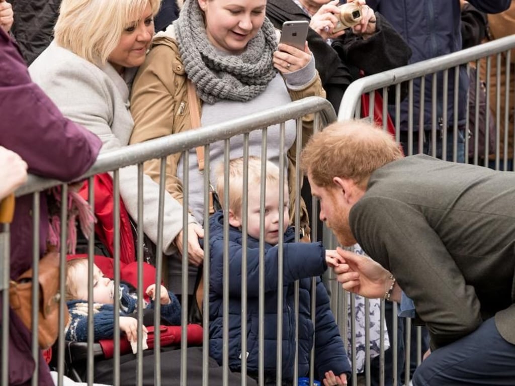 Prinz Harry schüttelt Hände. Foto: Richard Stonehouse