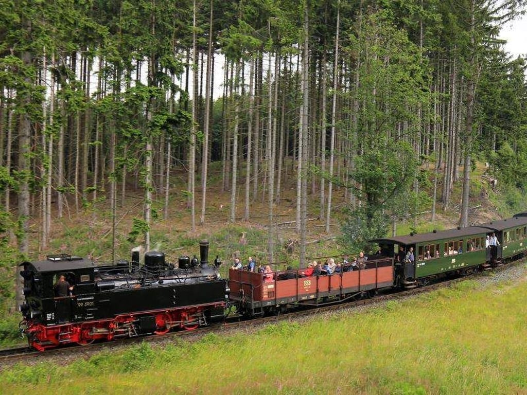 Ein Sonderzug der Harzer Schmalspurbahnen fährt in Richtung Wernigerode. Foto: Peter Gercke/Archiv