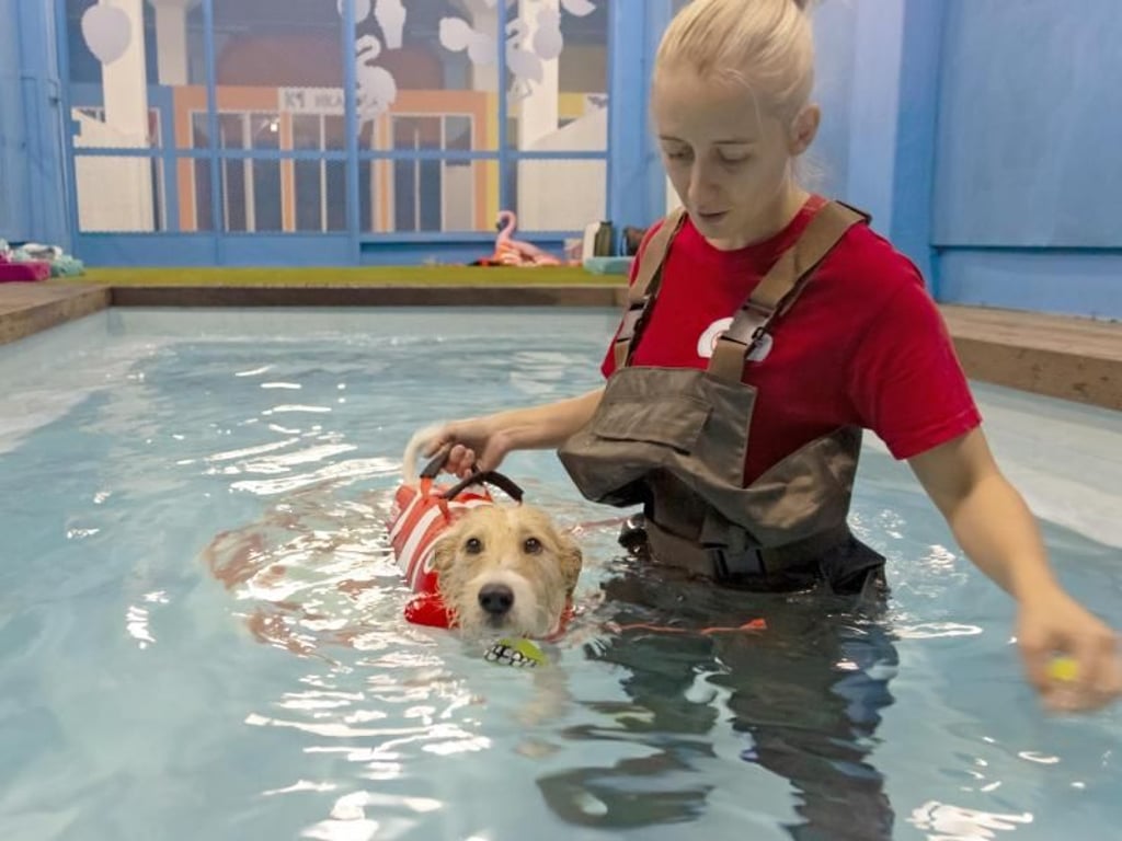 Tiertherapeutin Tineka macht Schwimmübungen mit einem Terrier. Foto: Tycho Schildbach