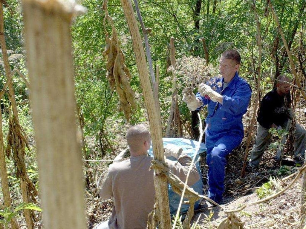 Eine Gruppe von Straffälligen leistet gemeinnützige Arbeit. Foto: Bernd Weißbrod dpa/Archiv