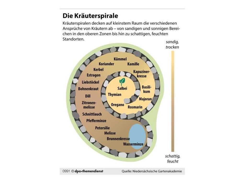Die Pflanzen werden entsprechend ihren Bedürfnissen in die Kräuterspirale gesetzt: Oben mediterrane Kräuter in den eher trockenen Boden mit hohem Sandanteil. Absteigend folgen Kräuter mit höherem Wasserbedürfnis, der Oberboden wird immer mehr humose Erde und Kompost zugesetzt. Foto: dpa-infografik