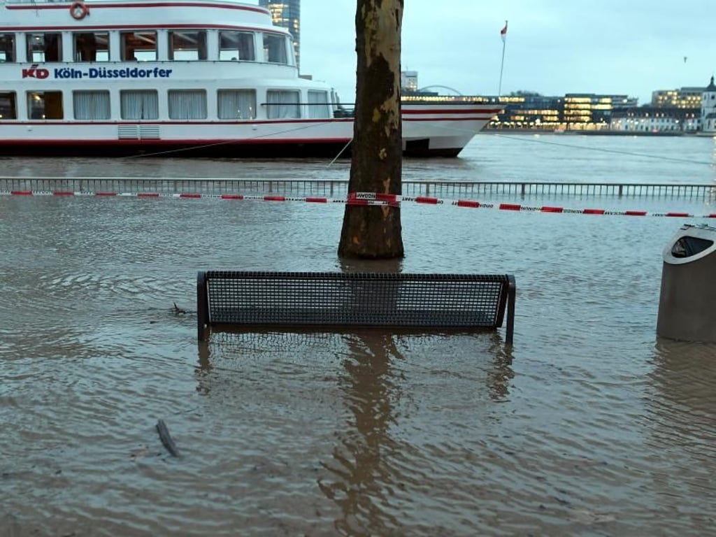 Vom Hochwasser umspült steht in Köln eine Bank. Foto: Federico Gambarini