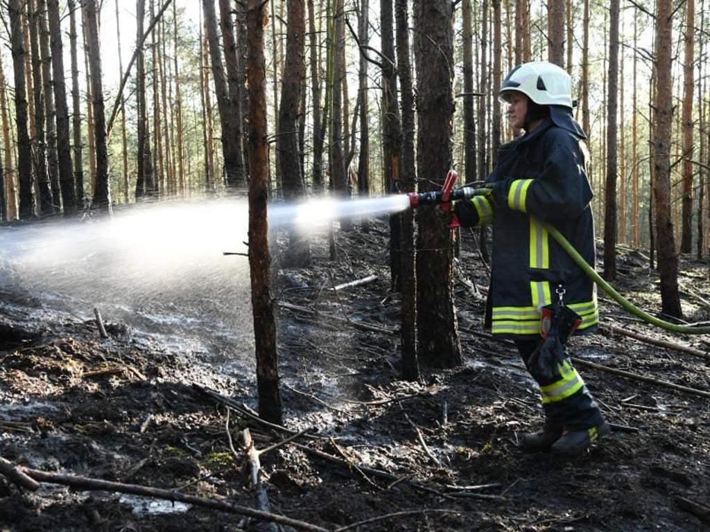 Die Feuerwehr konnte den Brand bei Groß Kreutz eindämmen. Foto: Julian Stähle