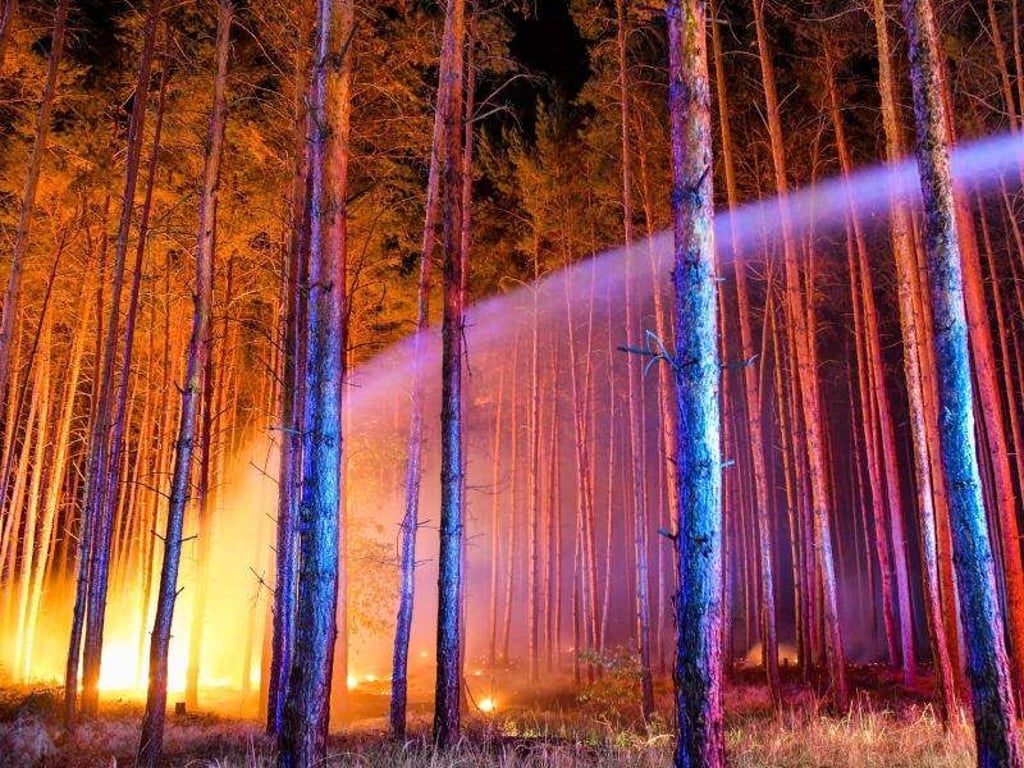 Ein Wasserstrahl der Feuerwehr inmitten eines von Flammen erleuchteten Waldes. Foto: Patrick Pleul