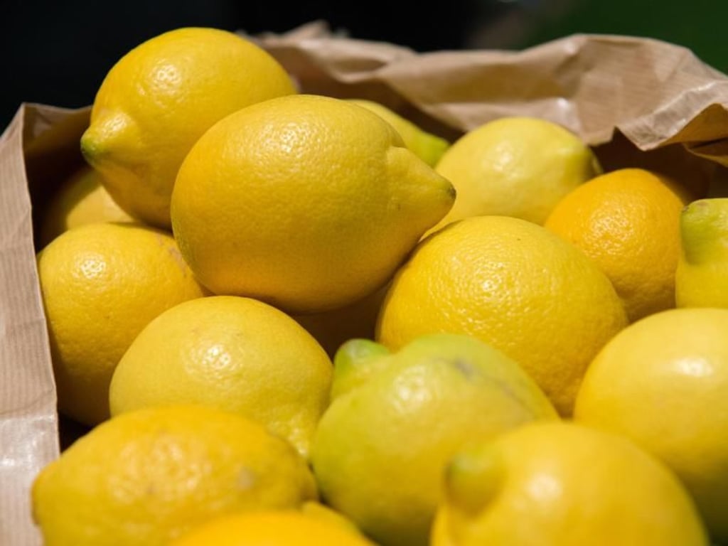 Zitronen sollten nicht im Kühlschrank aufbewahrt werden und niemals in einer Plastiktüte - Schimmelgefahr! Foto: Andrea Warnecke