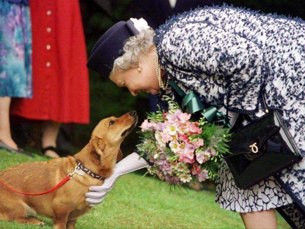 Königin Elizabeth II. mit einem ihrer Corgis. Und die Hantasche ist immer dabei. Foto: EPA