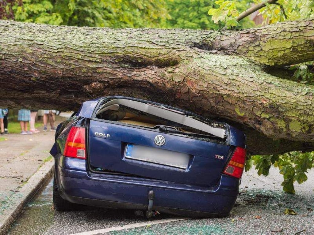 Eine umgestürzte Kastanie liegt in Hamburg-Lohbrügge nach einem starken Unwetter über der Straße und begräbt ein parkendes Auto unter sich. Foto: Daniel Bockwoldt