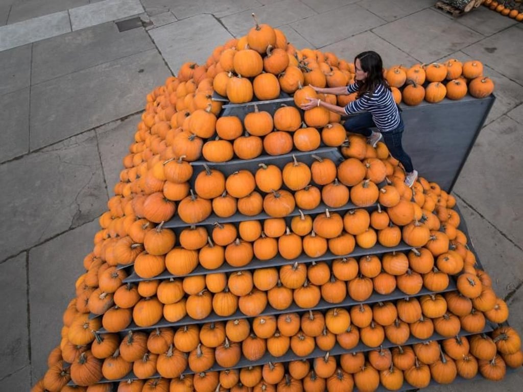 Im Herbst ist der Kürbis gefragt. Foto: Andreas Arnold