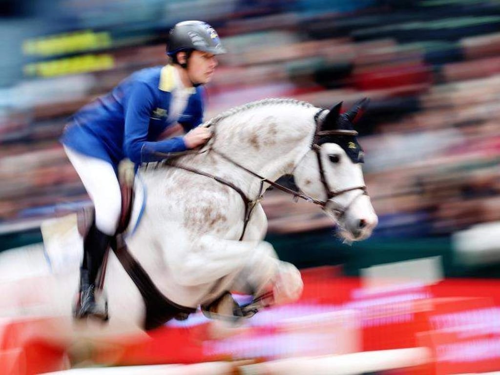 Springreiter Christian Ahlmann überwindet auf Colorit ein Hindernis. Foto: Jan Woitas