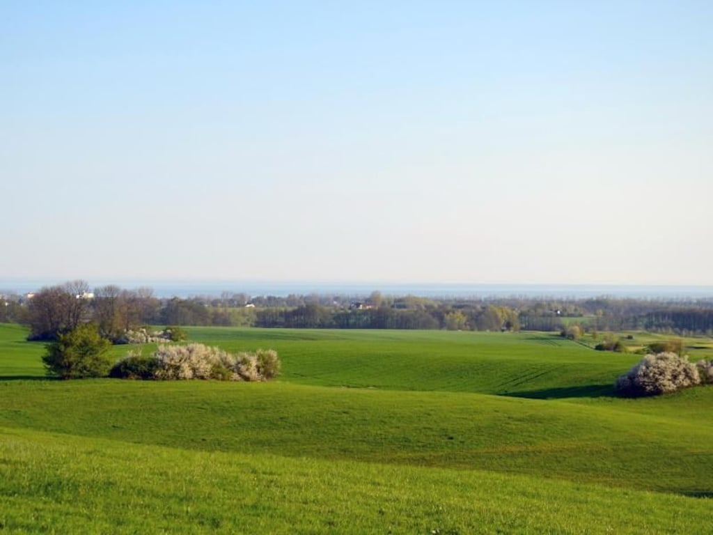 Nördlicher Ausläufer der Kühlung: Ist diese Landschaft - wie das Marketing verspricht - wirklich schon ein Mittelgebirge? Foto: Wolfgang Stelljes