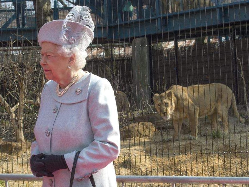 Queen Elizabeth II. eröffnete im Londoner Zoo ein Löwengehege. Foto:Arthur Edwards