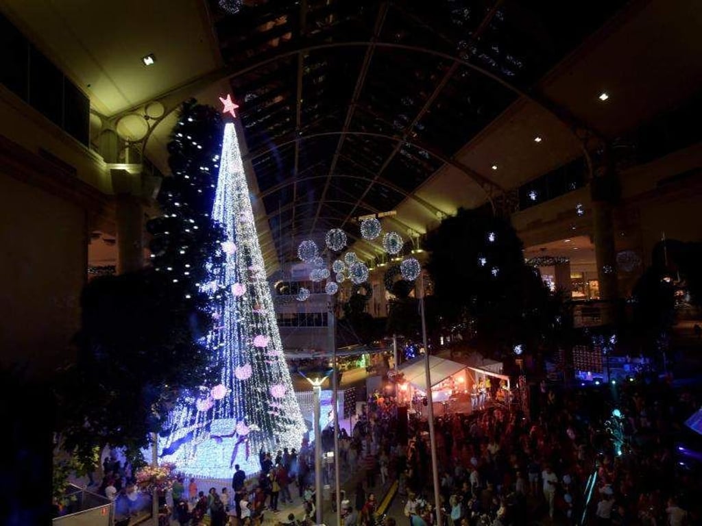 Der hellste WEihnachtsbaum steht im australsichen Canberra. Foto: Lucas Coch