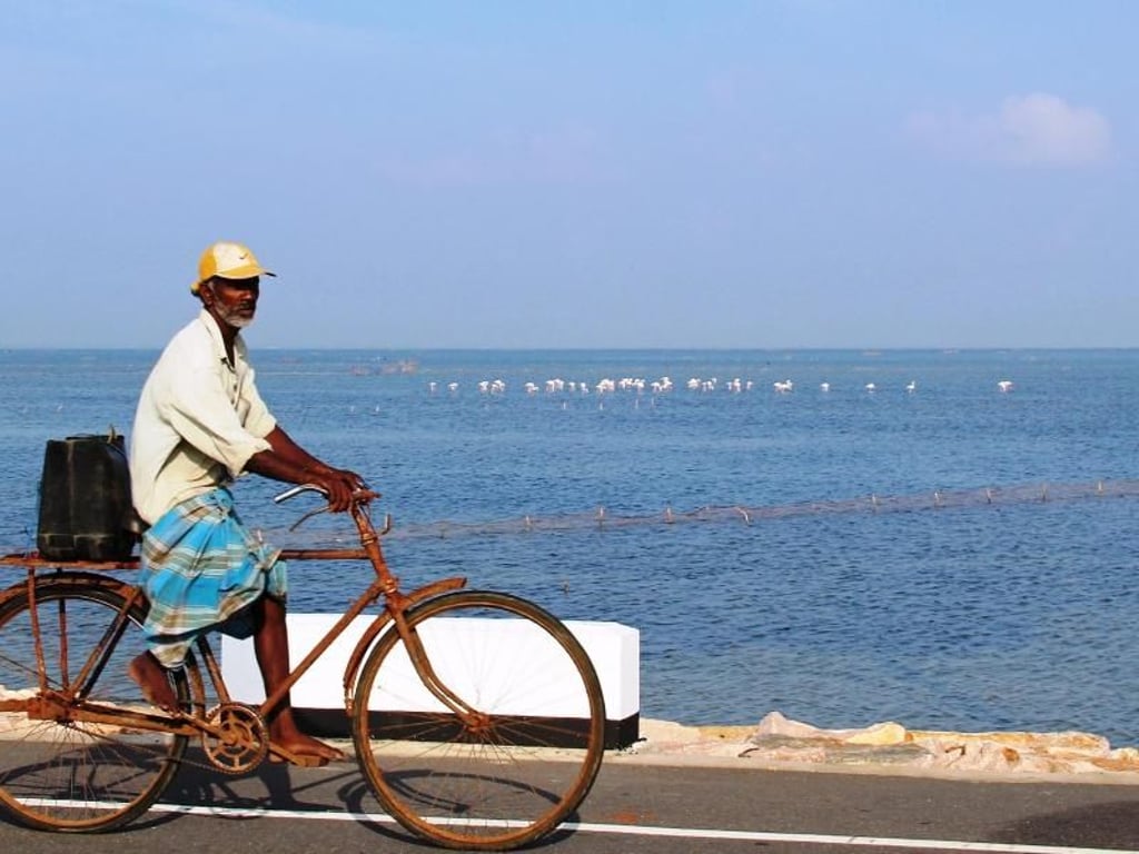 Kayts Causeway, ein Damm, verbindet Jaffna mit der vorgelagerten Insel Kayts. Foto: Dagmar Gehm