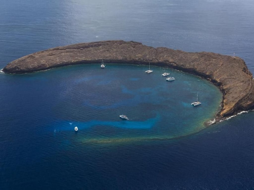 Der Molokini-Krater ist ein beliebtes Ausflugsziel für die Kreuzfahrer. Vor allem unter Wasser gibt es viel zu sehen. Foto: Hawaii Tourism Authority/Tor Johnson