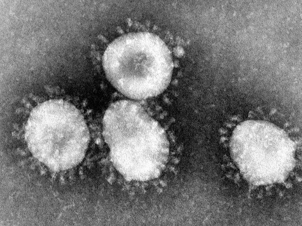 Center for Disease Control