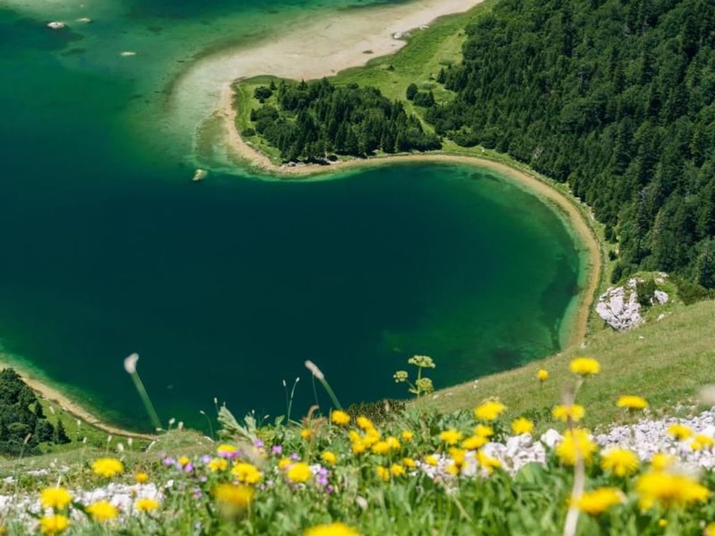 Bergwiese mit Blumen und Trnovacko-See im Tal - ein vorzügliches Panorama. Foto: Philipp Laage