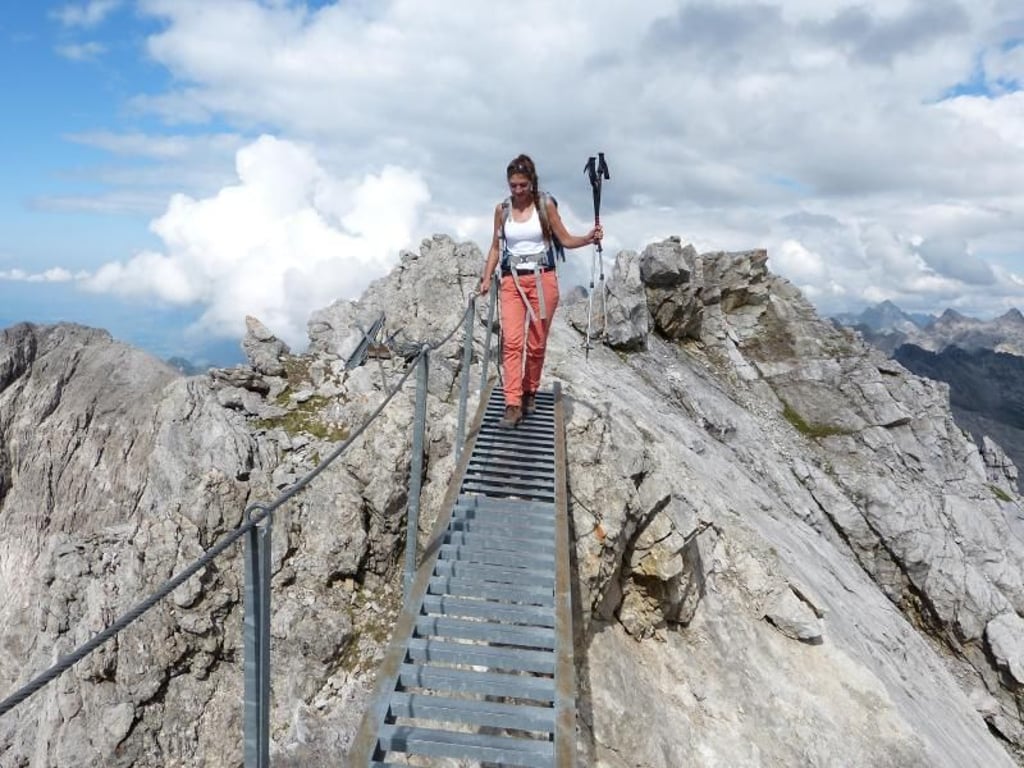 Manchmal geht es nur mit technischer Hilfe: Eine Leiter führt zum Großen Steinschartenkopf, dem mit 2615 Meter höchsten Punkt der Steinbock-Tour. Foto: Florian Sanktjohanser