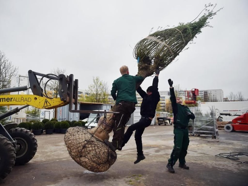 Ein Neuankömmling, der in die Erde will. Foto: Britta Pedersen