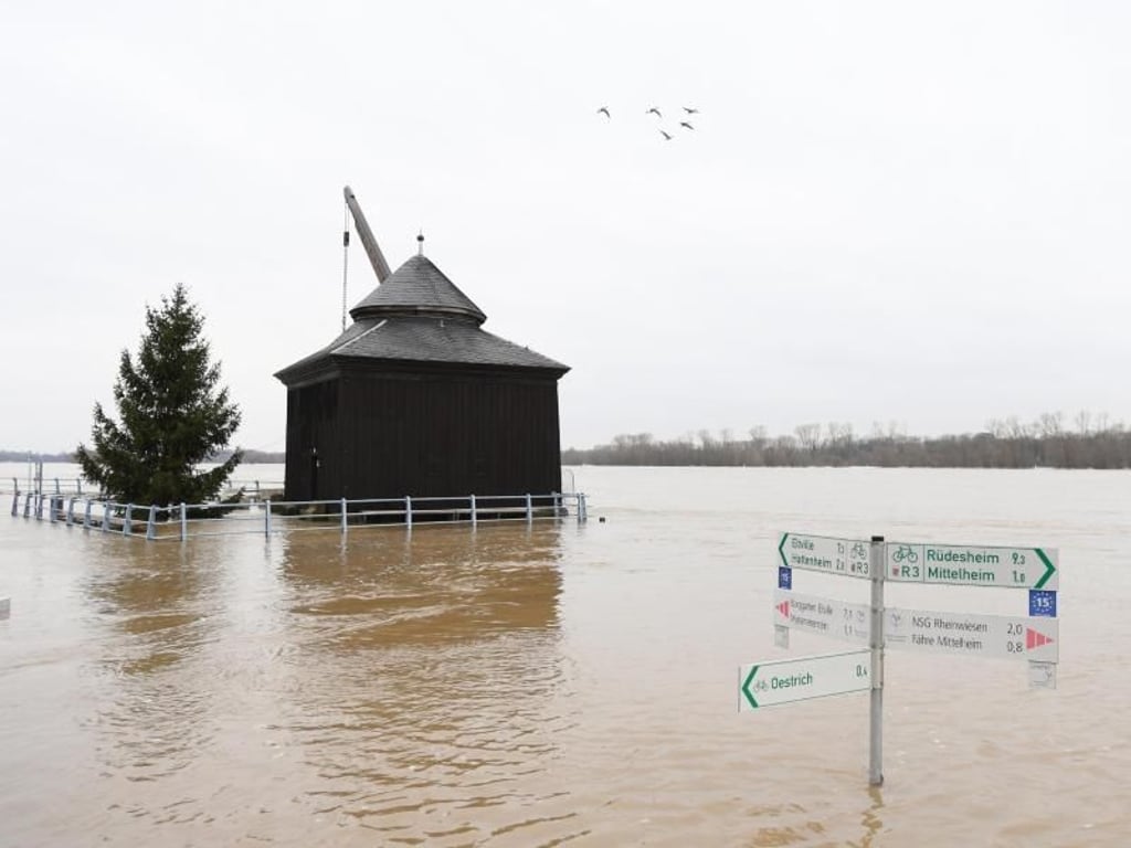 Ein Wegweiser am Rheinufer von Oestrich-Winkel (Hessen) ist fast vollständig im Hochwasser versunken. Foto: Arne Dedert