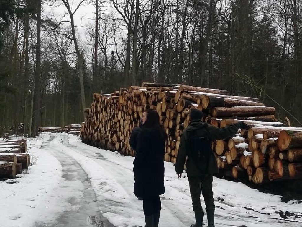 Umweltaktivisten stehen im Bialowieza-Wald neben einem Stapel illegal gefällter Bäume. Foto: Natalie Skrzypczak