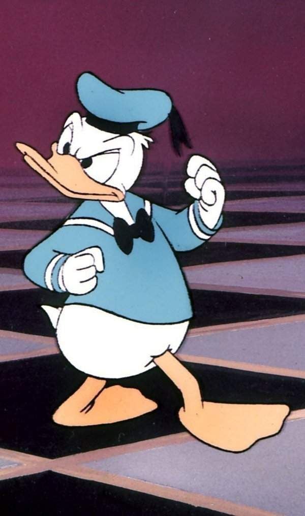 Donaldisten Wenn der Präsident eine Ente ist