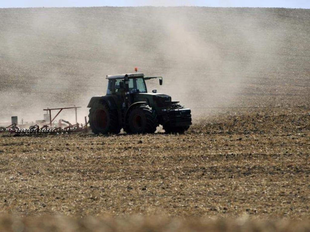 Ein Landwirt bestellt mit einem Schlepper sein Feld mit Winterraps. Foto: Klaus-Dietmar Gabbert/Archivbild
