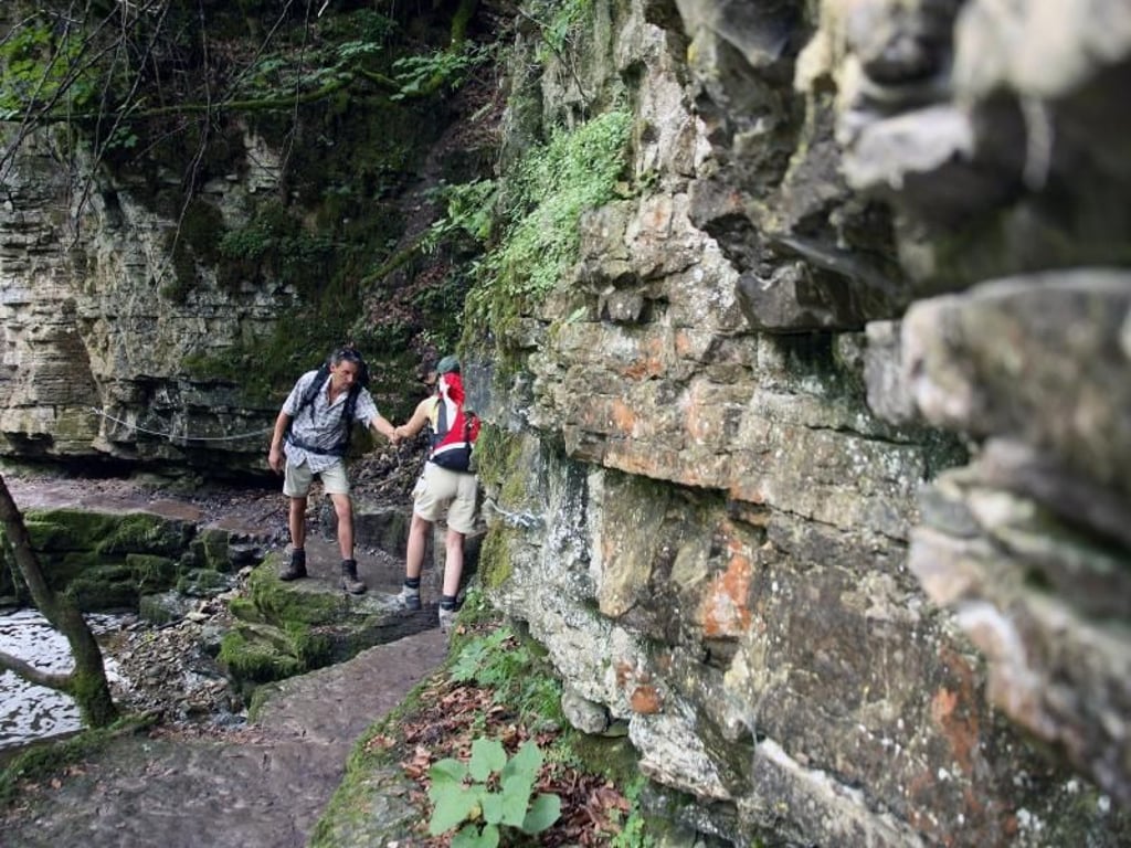 Schmale Pfade: Auf dem Schluchtensteig braucht es auch Trittsicherheit. Foto: Schluchtensteig Schwarzwald