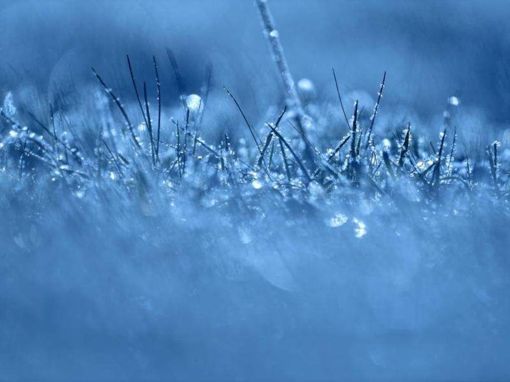 Nach großer Kälte ist nun mit milderen Temperaturen zu rechnen. Foto: Ralf Hirschberger/Archiv