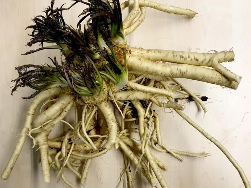 Lubera