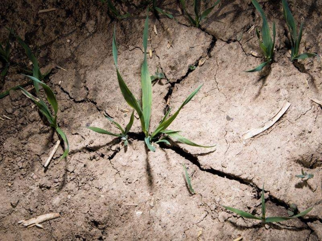 Julian Stratenschulte