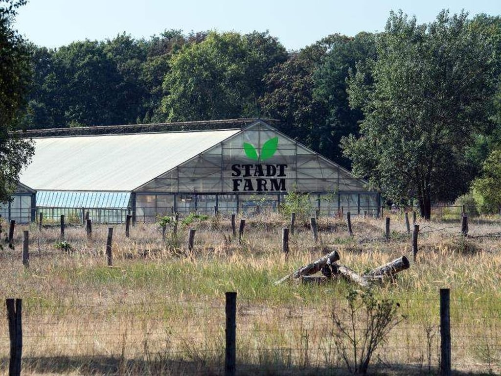 Ein Gewächshaus mit der Aufschrift «Stadtfarm» steht hinter einer Schafweide im Landschaftspark Herzberge. Foto: Soeren Stache/zb/dpa