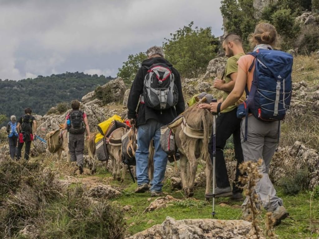 Sardaigne En Liberte?