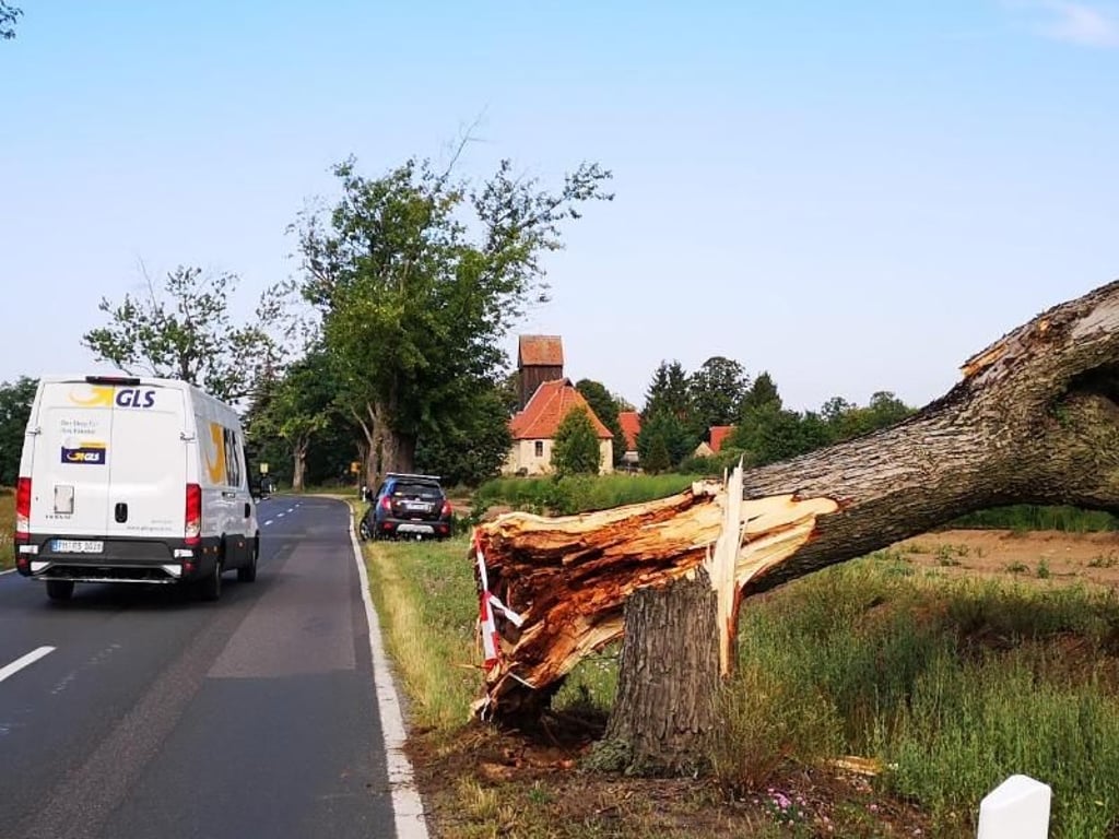 Ein entwurzelter Baum blockiert eine Landstraße in Brandenburg. Foto: Julian Stähle