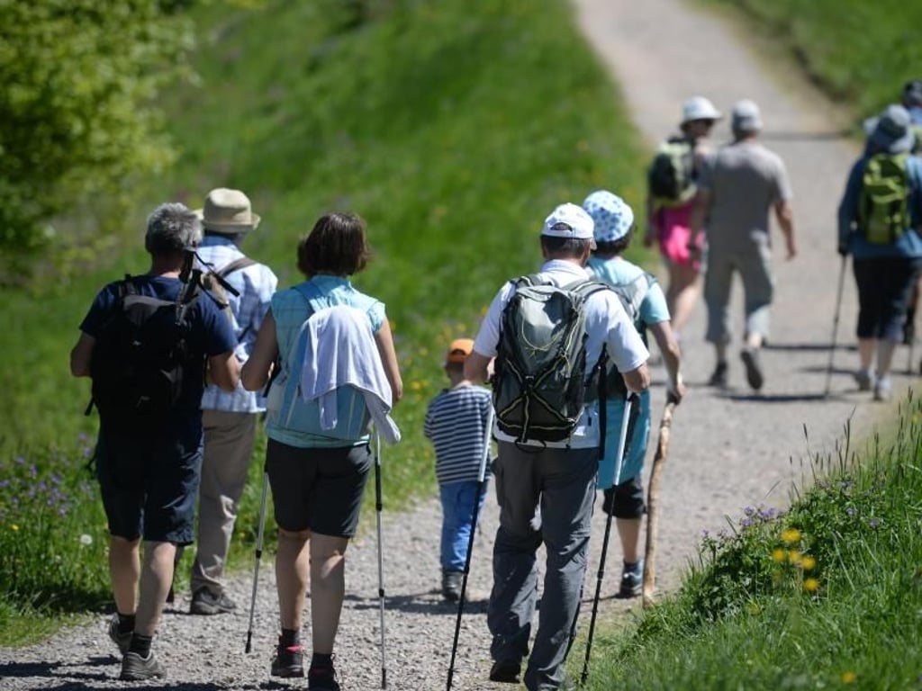 Noch nicht zu heiß: Eine Gruppe französischer Touristen wandert auf dem Schauinsland bei Hofsgrund. Foto: Patrick Seeger